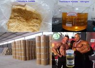 Bodybuilding Injectable Anabolic Steroids Trenbolone Acetate Powder 100mg/ml Bulking / Cutting Tren A
