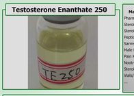 Semi Finished Oil Based Steroids Testosterone Enanthate 250mg/ml Test E 250 Test E