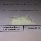 CAS 360-70-3 White Legal Nandrolone Steroid , Nandrolone Decanoate Powder For Bulding Muscle