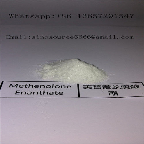 Healthy White Legal Anabolic Steroids Methenolone Powder Enanthate For Bodybuilding