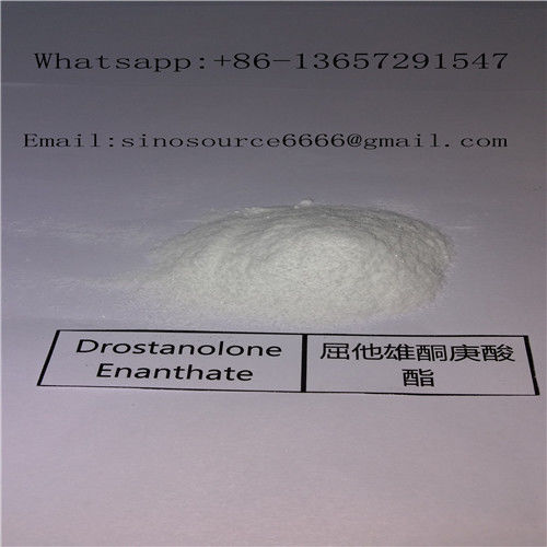 White Powder Drostanolone Masteron Enanthate for Bodybuilding Muscle Enhance